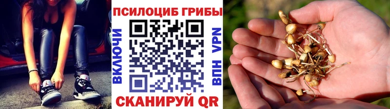 Галлюциногенные грибы MAGIC MUSHROOMS  Кизляр 