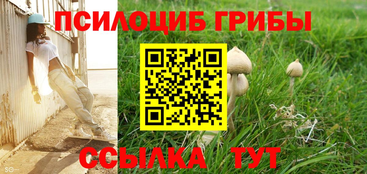 Псилоцибиновые грибы GOLDEN TEACHER Кизляр