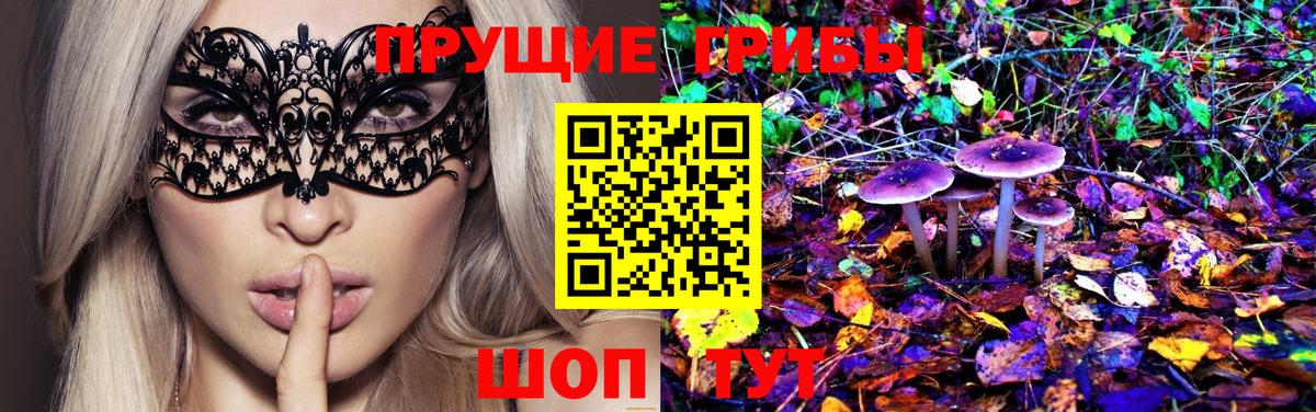 Псилоцибиновые грибы MAGIC MUSHROOMS  Вход с VPN  наркота  Кизляр 