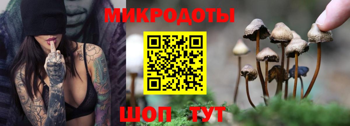 цены   Кизляр  Галлюциногенные грибы ЛСД 