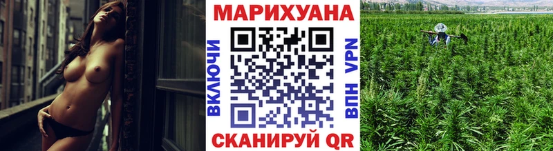 Канабис VHQ купить наркотики цена Кизляр